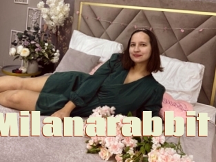 Milanarabbit