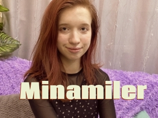 Minamiler