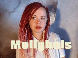 Mollybuls