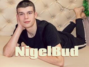 NigelBud