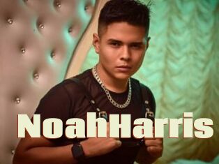 NoahHarris