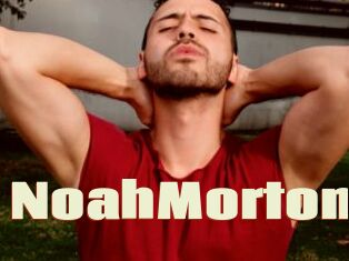 NoahMorton