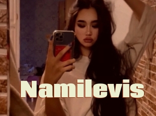 Namilevis