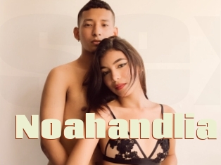 Noahandlia