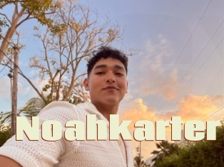 Noahkarter