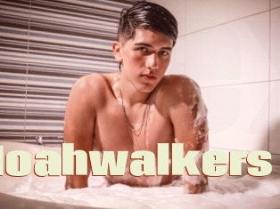 Noahwalkers