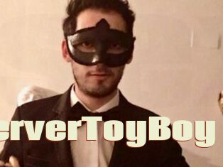 PerverToyBoy