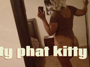 Pretty_phat_kitty