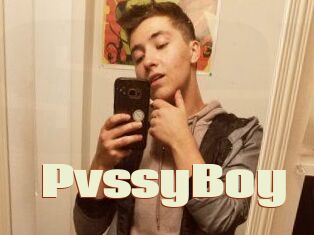 PvssyBoy