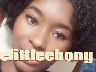 Petitelittleebony