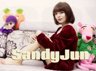 SandyJun