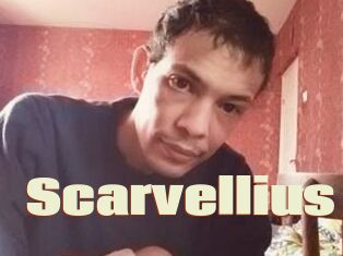 Scarvellius