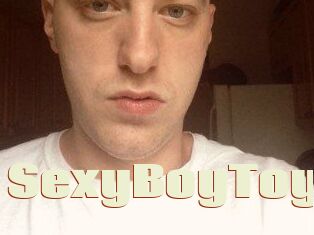 SexyBoyToy