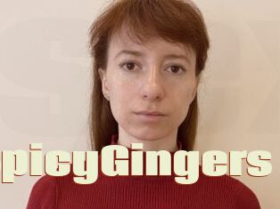 SpicyGingers