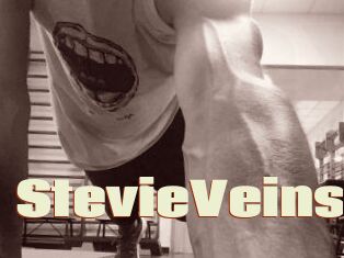 StevieVeins