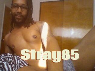 Stray85