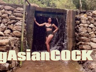 StunningAsianCOCK