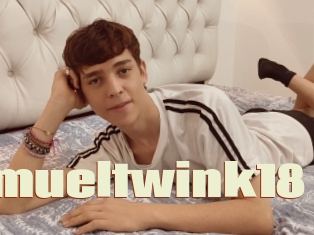 Samueltwink18