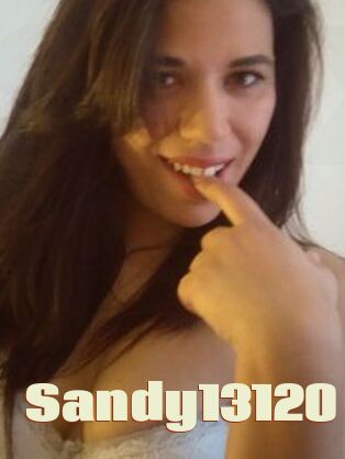 Sandy13120