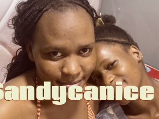 Sandycanice