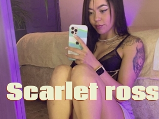 Scarlet_ross