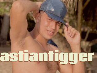 Sebastiantigger