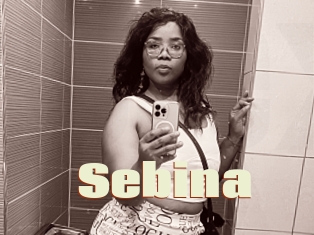 Sebina