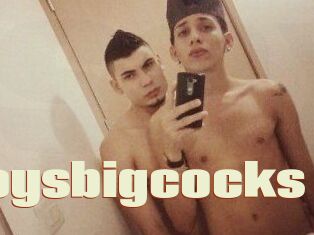 Sexyboysbigcocks