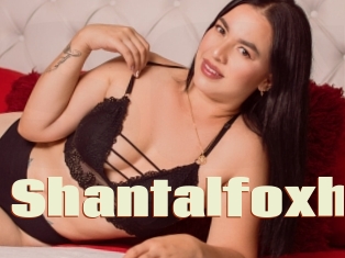 Shantalfoxh