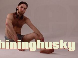 Shininghusky