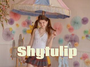 Shytulip