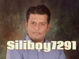 Siliboy7291