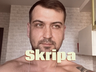 Skripa