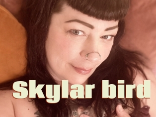 Skylar_bird