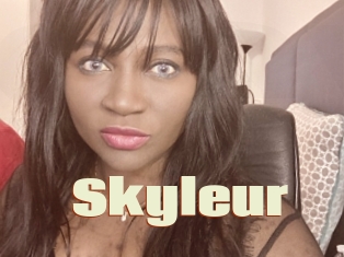 Skyleur