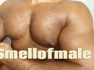 Smellofmale