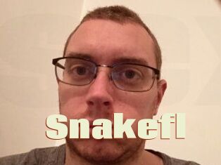 Snakefl