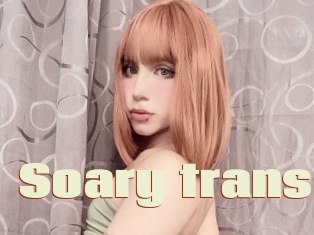 Soary_trans