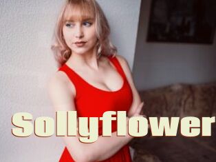 Sollyflower