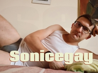 Sonicegay