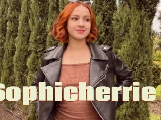 Sophicherrie