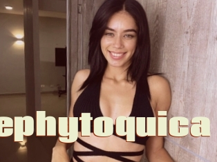 Stephytoquica