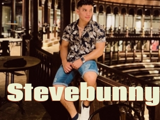 Stevebunny