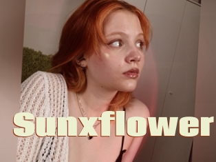 Sunxflower