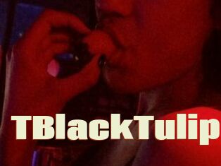 TBlackTulip