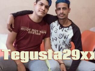 Tegusta29xx