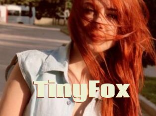 TinyFox