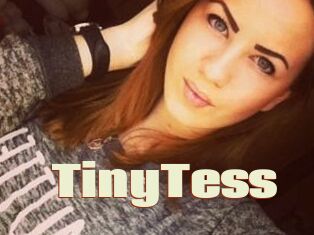 TinyTess