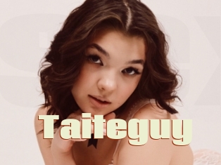 Taiteguy