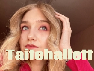 Taitehallett